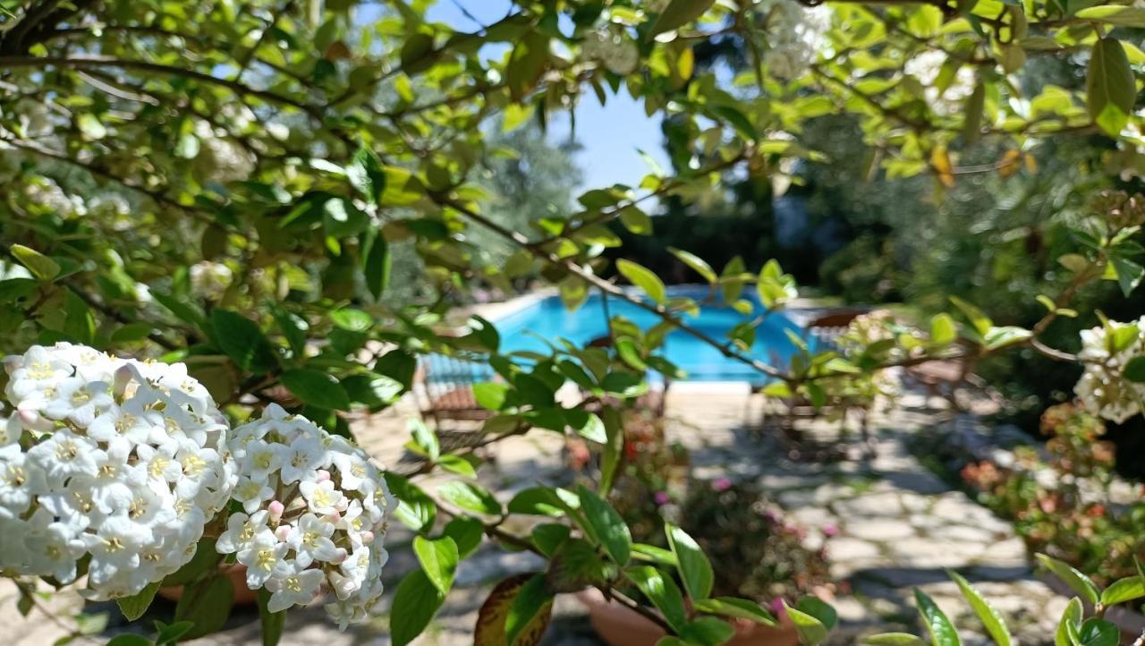 Agriturismo Le Vedute ビシェーリエ エクステリア 写真