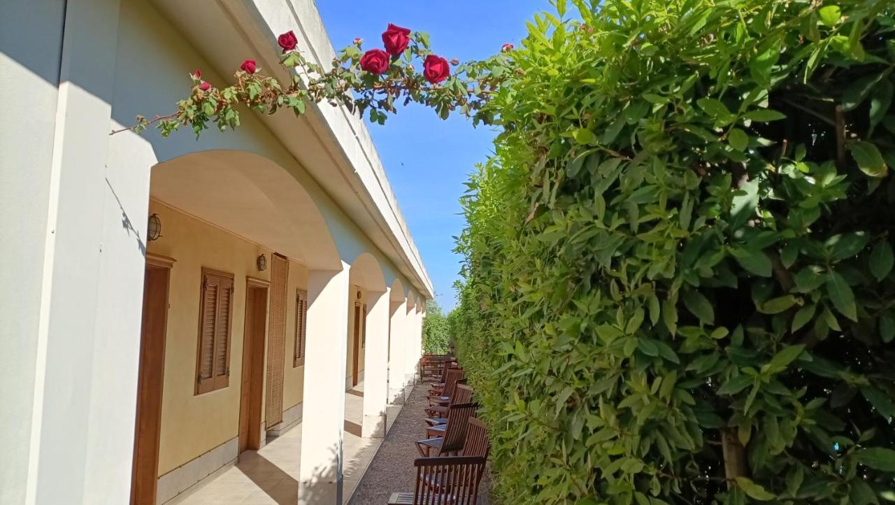 Agriturismo Le Vedute ビシェーリエ エクステリア 写真