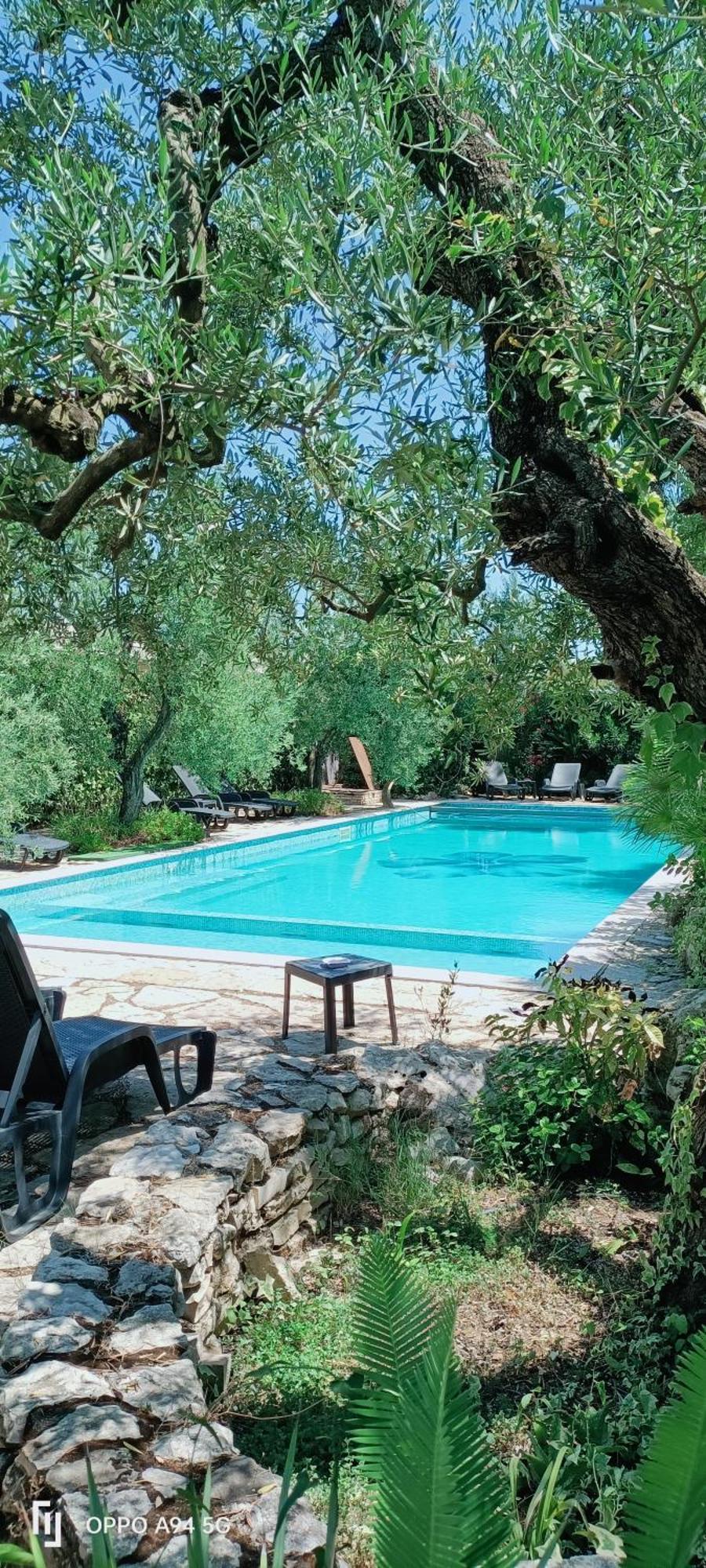 Agriturismo Le Vedute ビシェーリエ エクステリア 写真