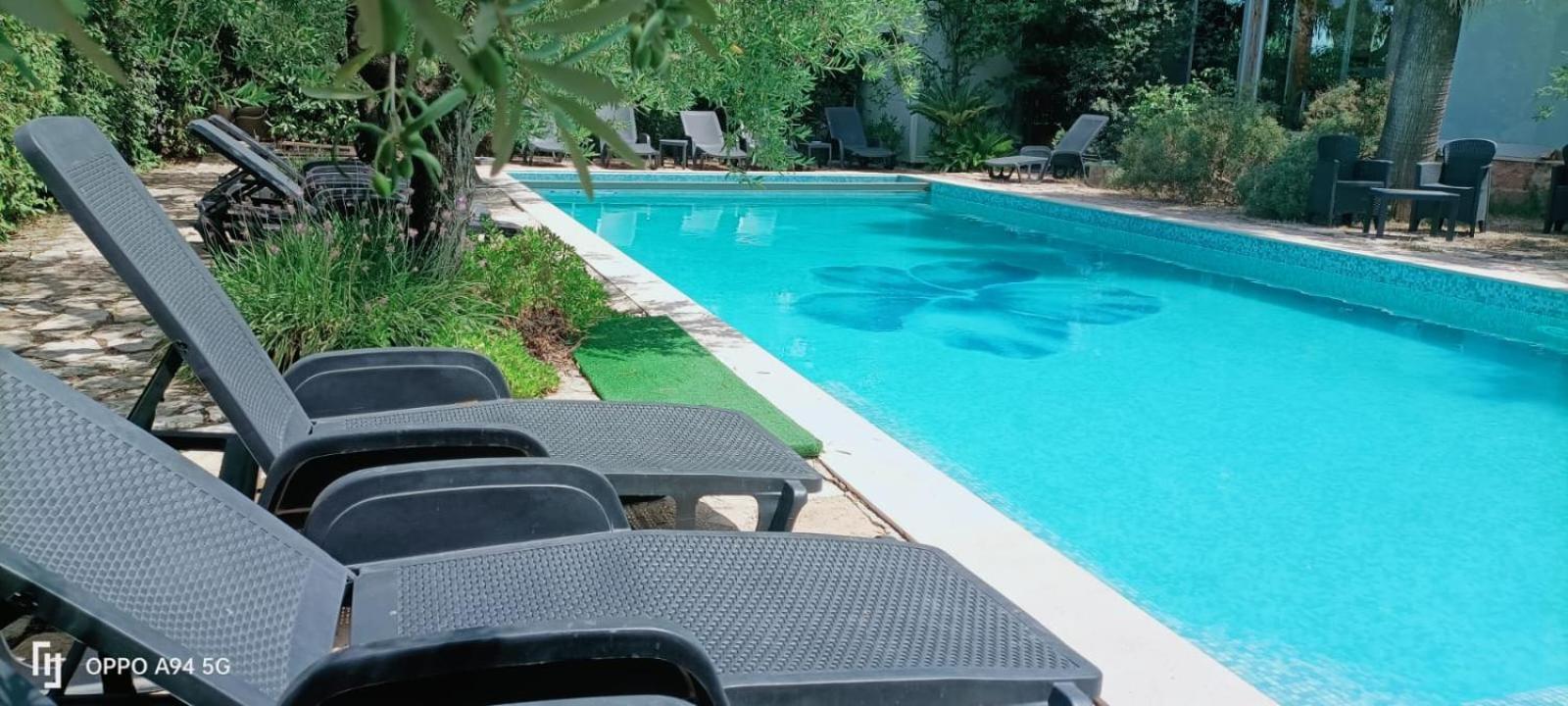 Agriturismo Le Vedute ビシェーリエ エクステリア 写真