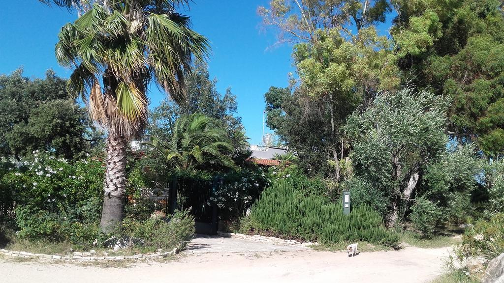Agriturismo Le Vedute ビシェーリエ エクステリア 写真