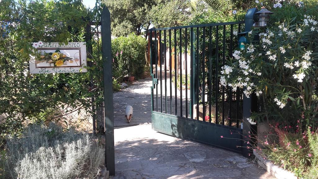 Agriturismo Le Vedute ビシェーリエ エクステリア 写真